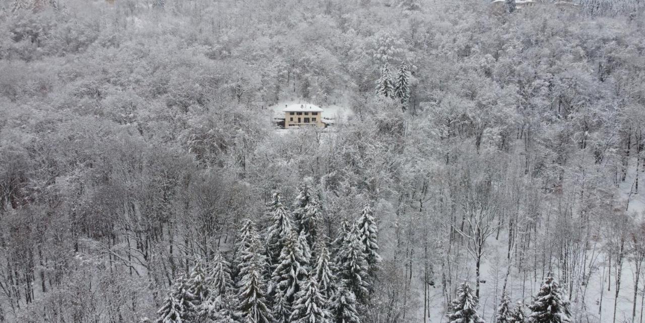 La Guardiana B&B Trivero Exteriör bild